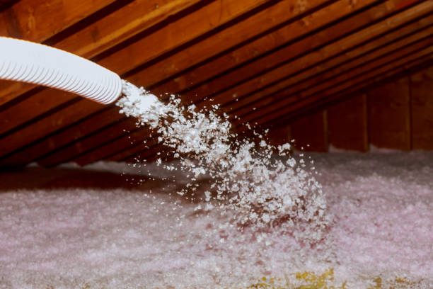 Best Insulation Maintenance and Repair in East Pasadena, CA