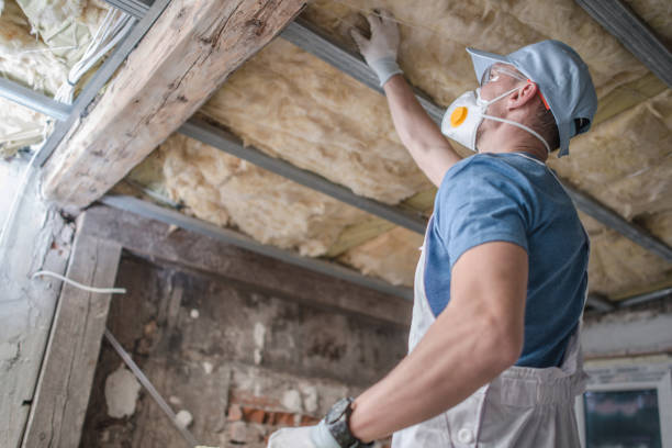 Best Commercial Insulation in East Pasadena, CA